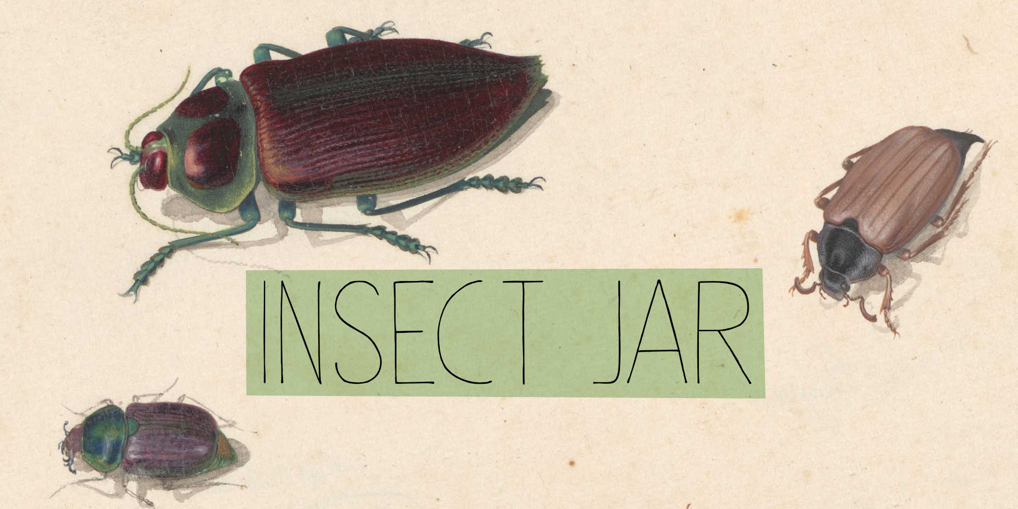 Insect Jar
